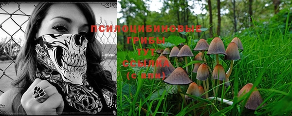 твердый Алексеевка