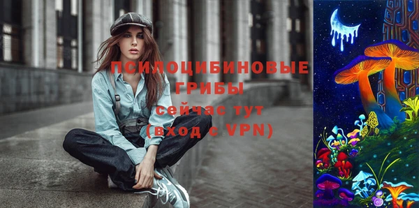 соль ск Алзамай