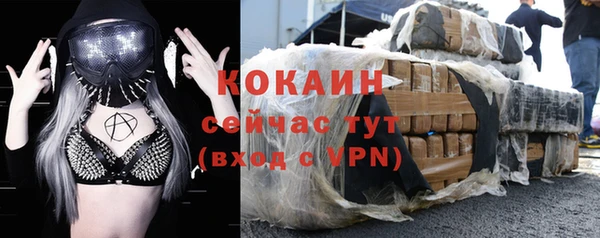 соль ск Алзамай