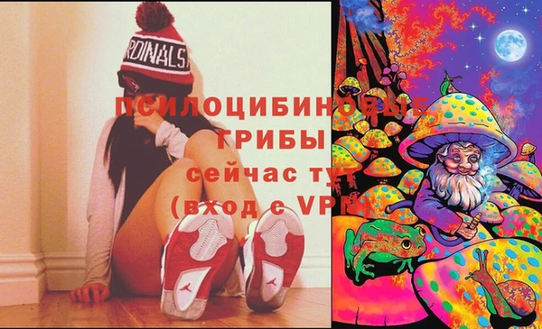 твердый Алексеевка