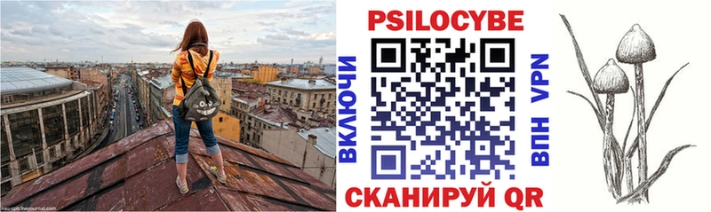 Галлюциногенные грибы Psilocybine cubensis  Волгоград 